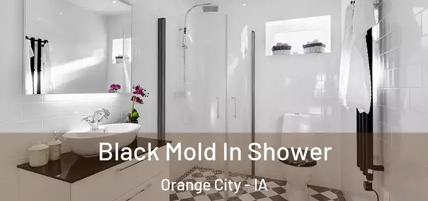  Black Mold In Shower Orange City - IA
