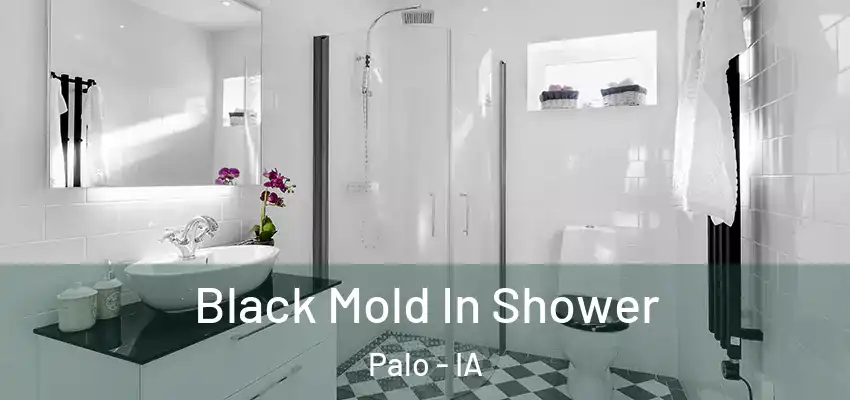  Black Mold In Shower Palo - IA