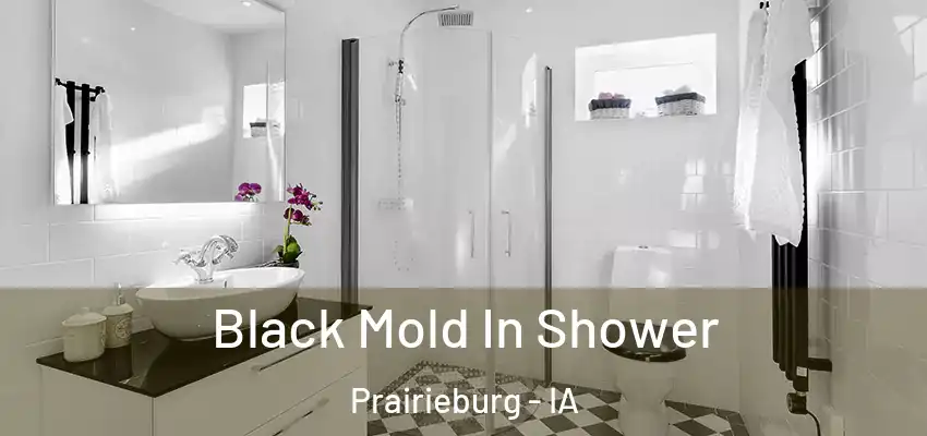  Black Mold In Shower Prairieburg - IA