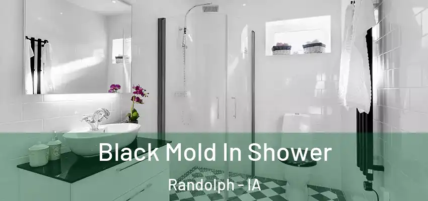 Black Mold In Shower Randolph - IA