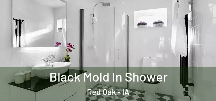  Black Mold In Shower Red Oak - IA