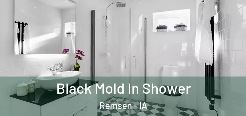  Black Mold In Shower Remsen - IA