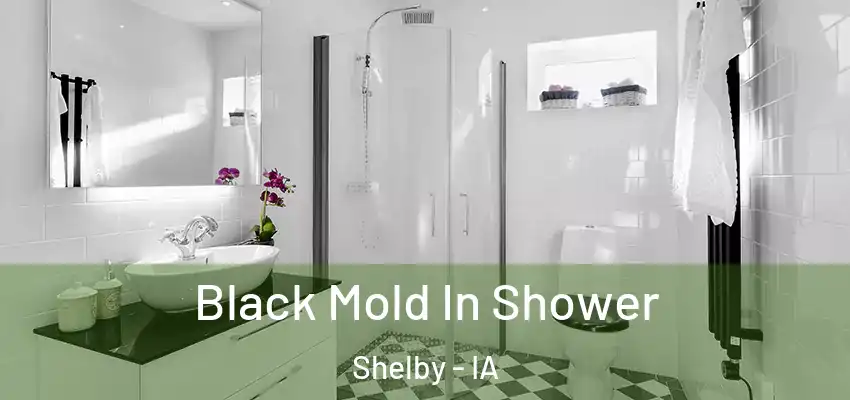 Black Mold In Shower Shelby - IA
