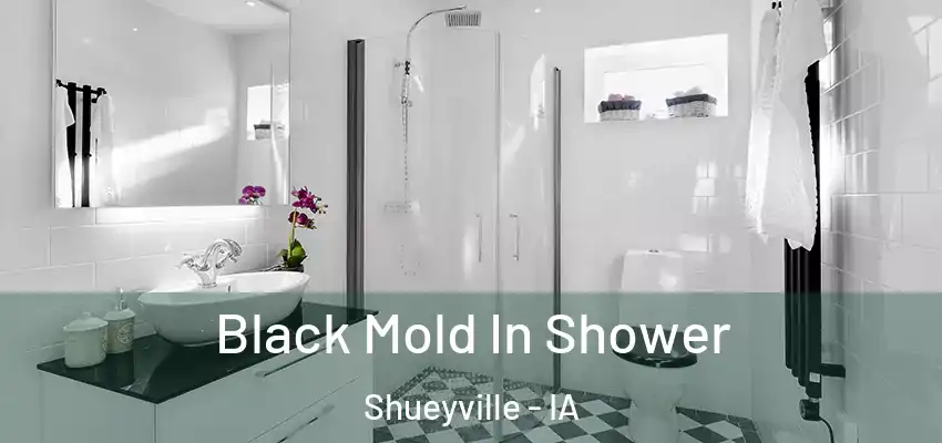 Black Mold In Shower Shueyville - IA