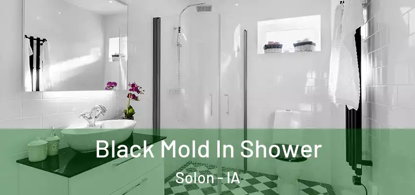  Black Mold In Shower Solon - IA
