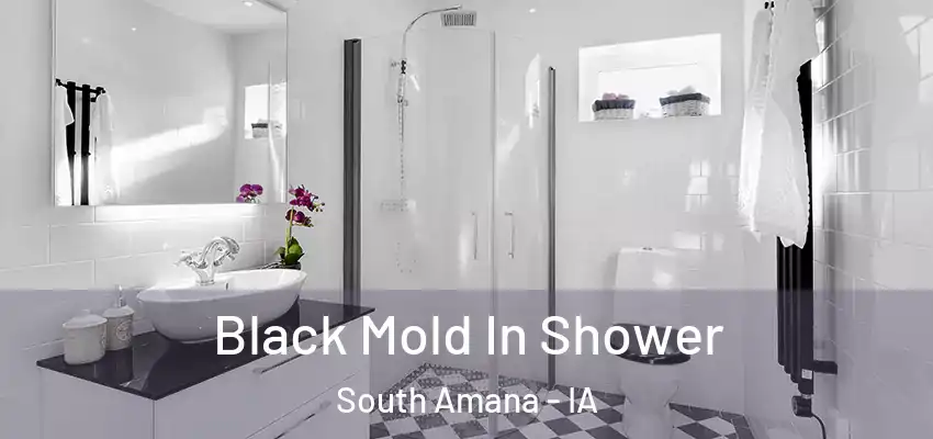 Black Mold In Shower South Amana - IA
