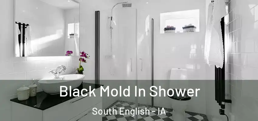Black Mold In Shower South English - IA