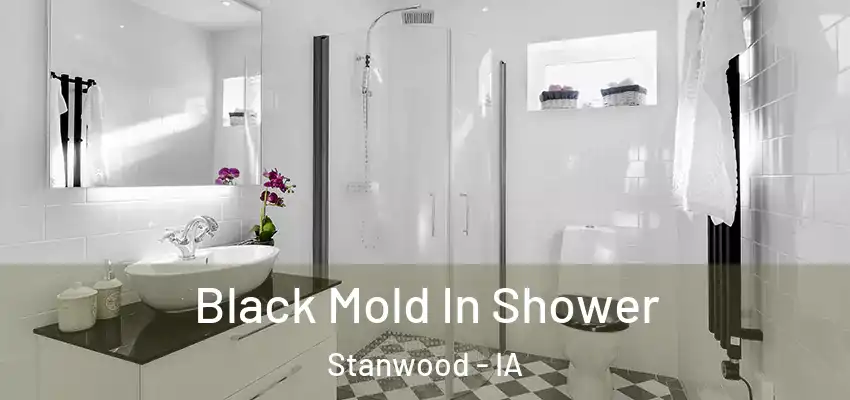 Black Mold In Shower Stanwood - IA