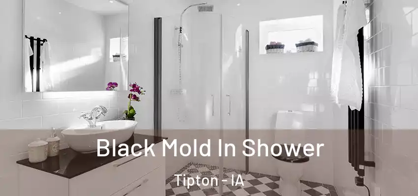 Black Mold In Shower Tipton - IA