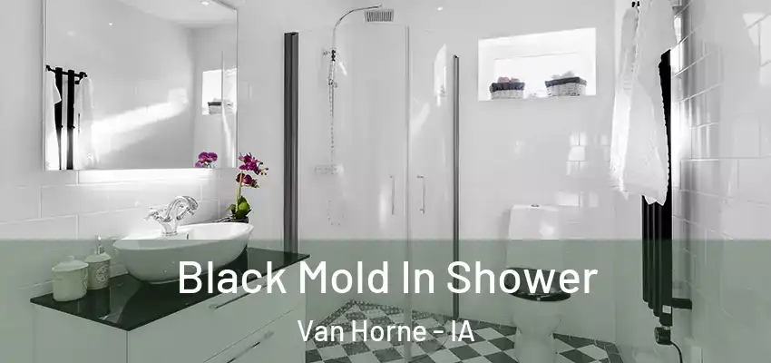 Black Mold In Shower Van Horne - IA