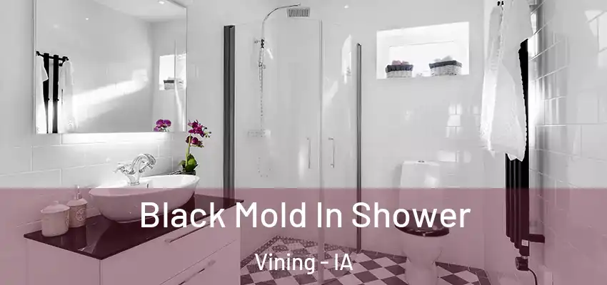 Black Mold In Shower Vining - IA