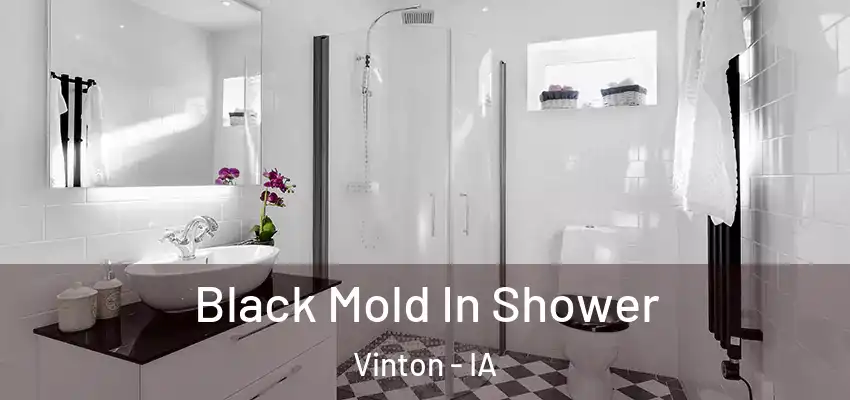  Black Mold In Shower Vinton - IA