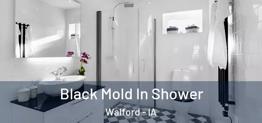  Black Mold In Shower Walford - IA