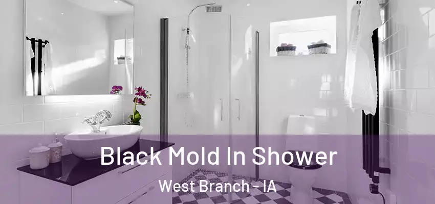  Black Mold In Shower West Branch - IA