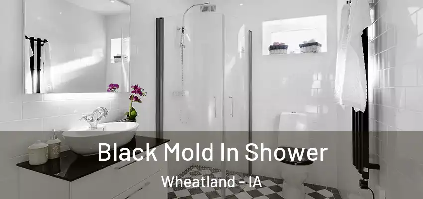  Black Mold In Shower Wheatland - IA