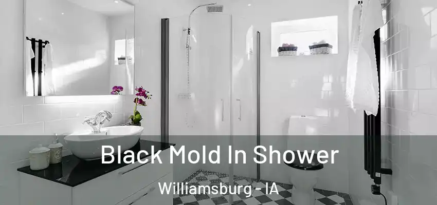 Black Mold In Shower Williamsburg - IA
