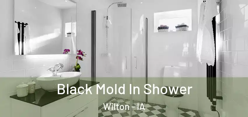 Black Mold In Shower Wilton - IA