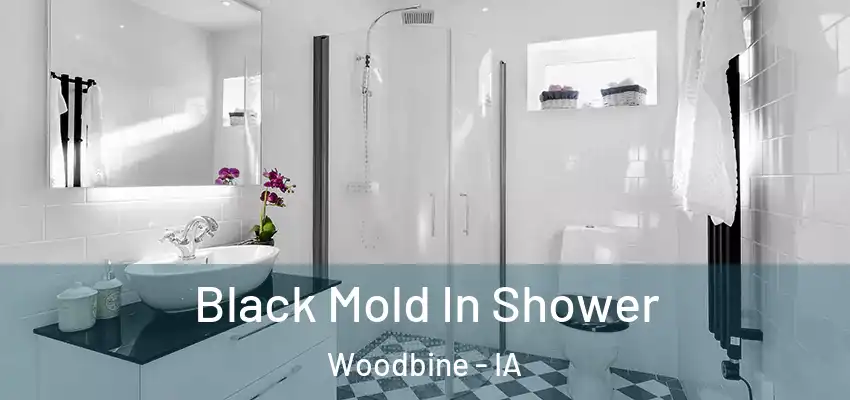 Black Mold In Shower Woodbine - IA