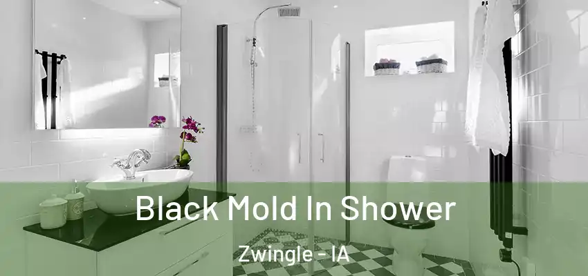  Black Mold In Shower Zwingle - IA