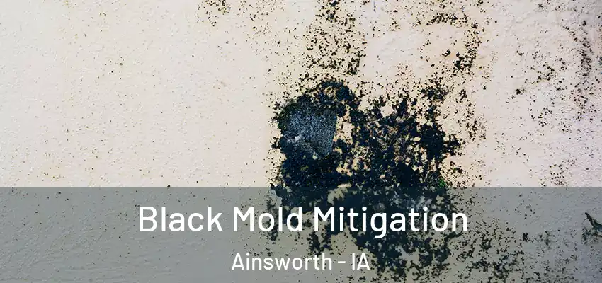 Black Mold Mitigation Ainsworth - IA