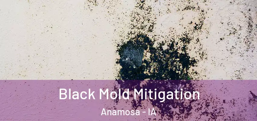 Black Mold Mitigation Anamosa - IA
