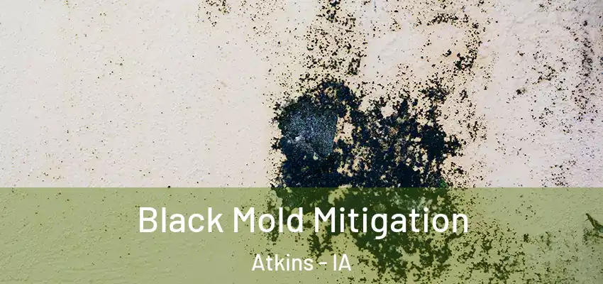 Black Mold Mitigation Atkins - IA