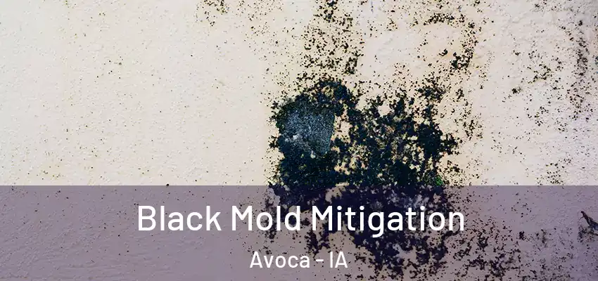  Black Mold Mitigation Avoca - IA