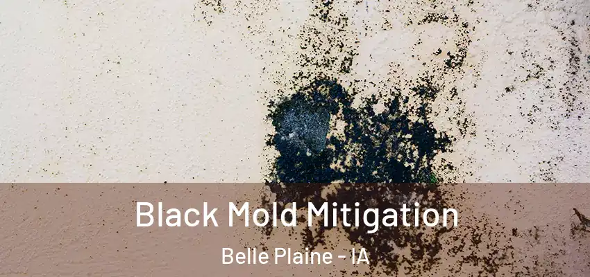  Black Mold Mitigation Belle Plaine - IA