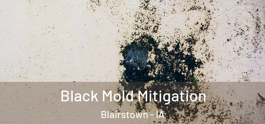 Black Mold Mitigation Blairstown - IA