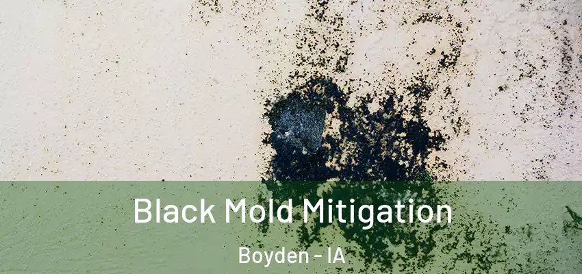  Black Mold Mitigation Boyden - IA