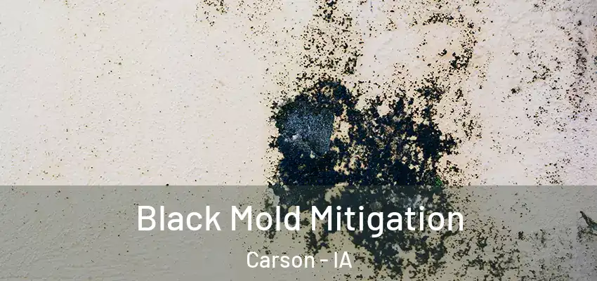 Black Mold Mitigation Carson - IA