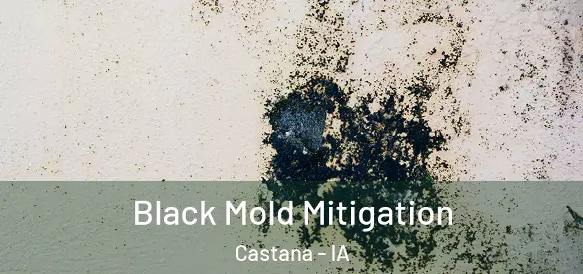 Black Mold Mitigation Castana - IA
