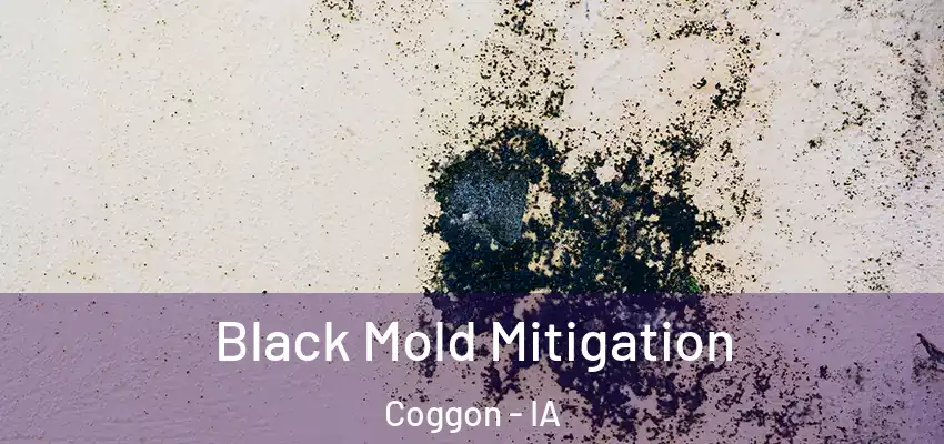  Black Mold Mitigation Coggon - IA