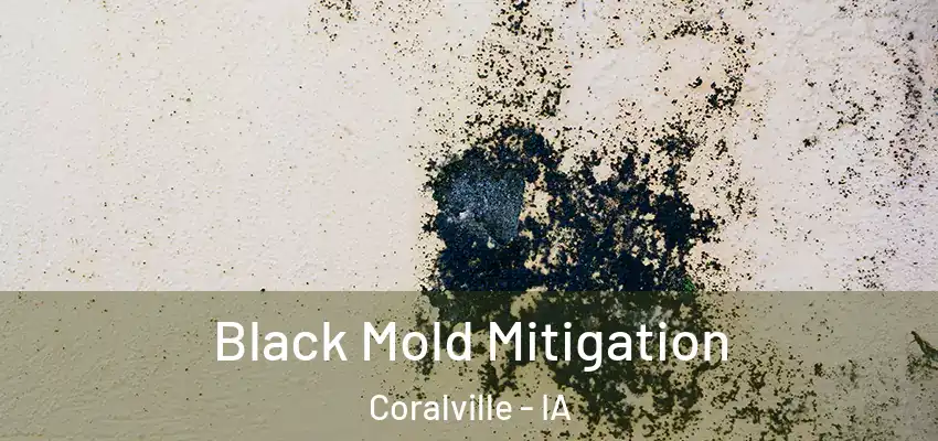  Black Mold Mitigation Coralville - IA