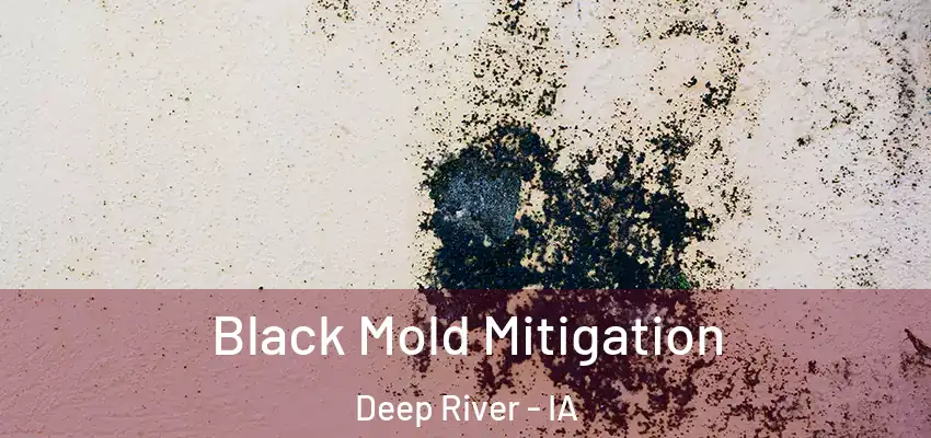  Black Mold Mitigation Deep River - IA