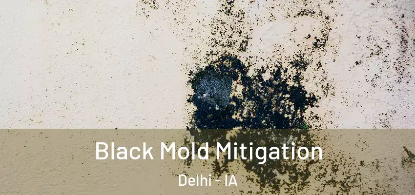 Black Mold Mitigation Delhi - IA