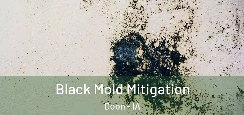Black Mold Mitigation Doon - IA
