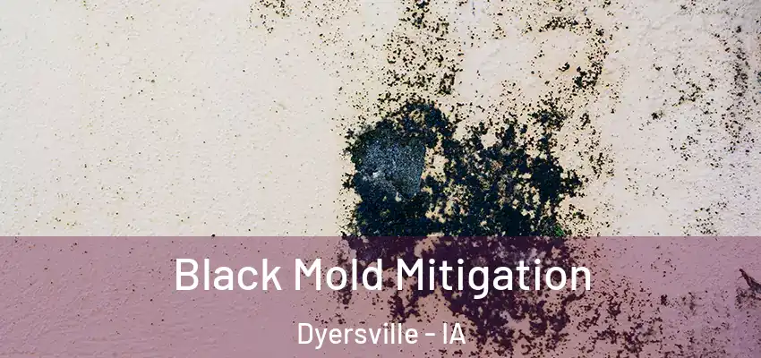 Black Mold Mitigation Dyersville - IA
