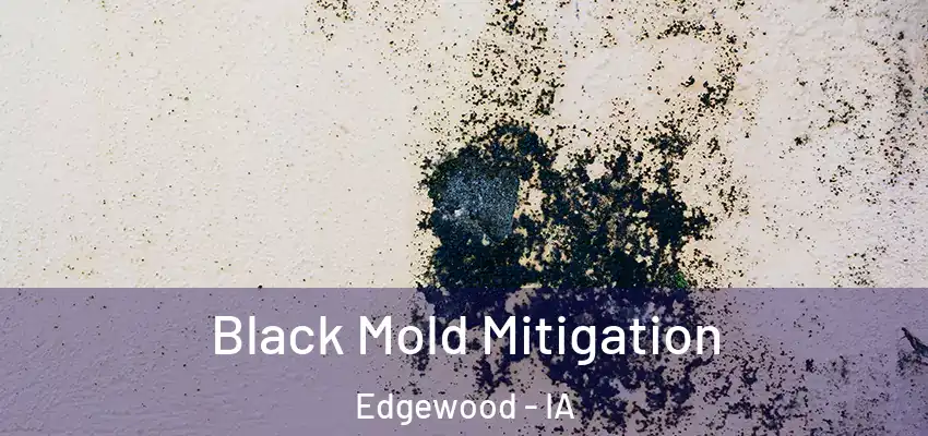  Black Mold Mitigation Edgewood - IA