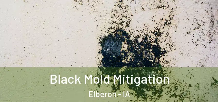 Black Mold Mitigation Elberon - IA