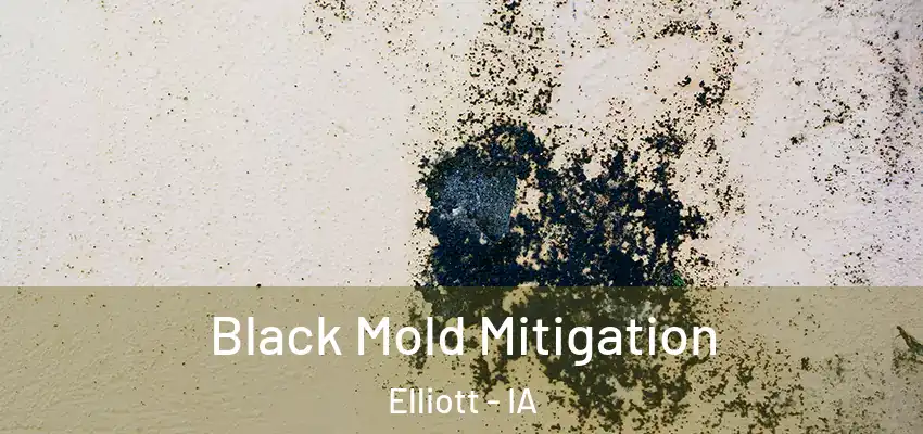 Black Mold Mitigation Elliott - IA