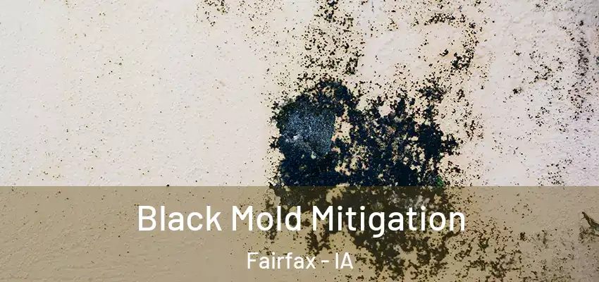 Black Mold Mitigation Fairfax - IA