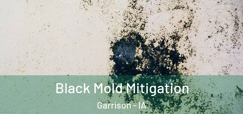  Black Mold Mitigation Garrison - IA
