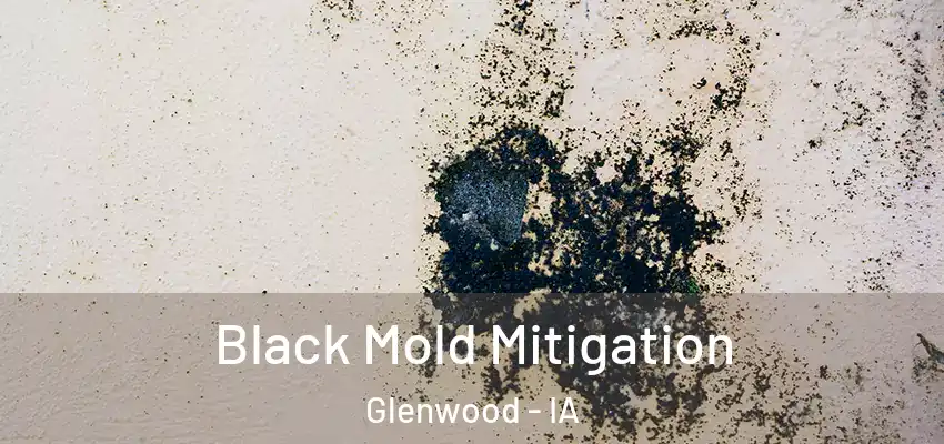 Black Mold Mitigation Glenwood - IA