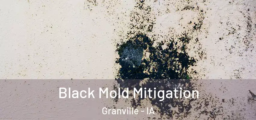 Black Mold Mitigation Granville - IA