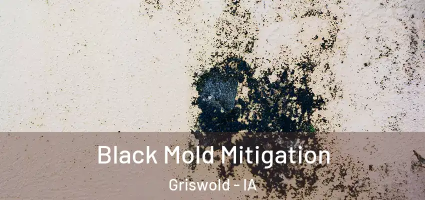  Black Mold Mitigation Griswold - IA
