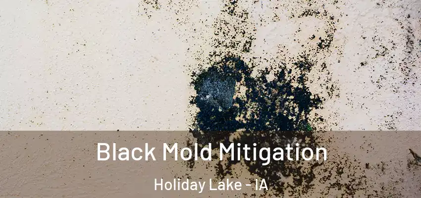 Black Mold Mitigation Holiday Lake - IA