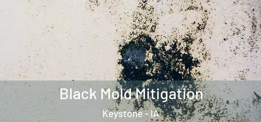  Black Mold Mitigation Keystone - IA