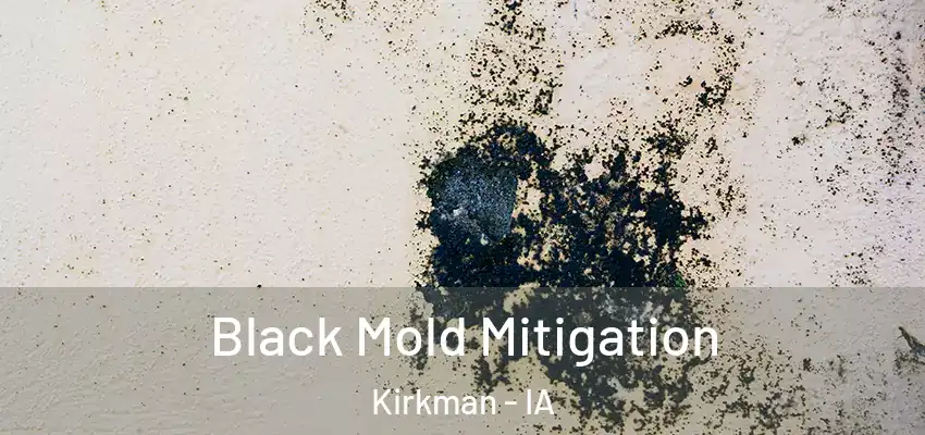  Black Mold Mitigation Kirkman - IA
