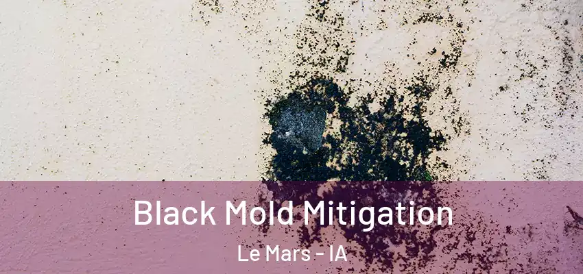  Black Mold Mitigation Le Mars - IA